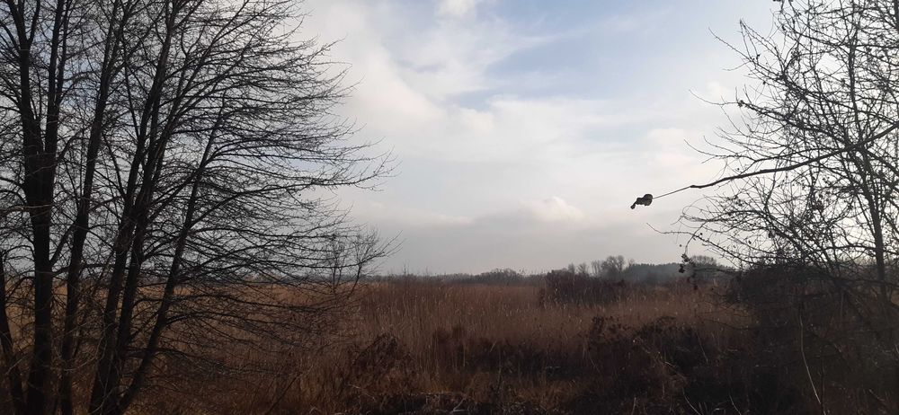 Продам дачу в садовому товаристві "Залив"