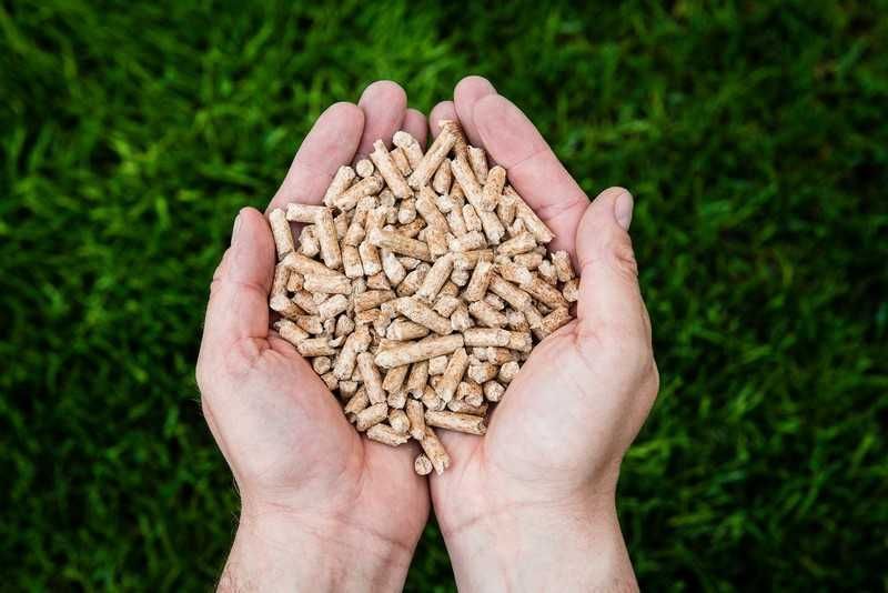 Pellet Star – nie Olczyk, nie Barlinek to coś nowego. Dostawa w cenie!