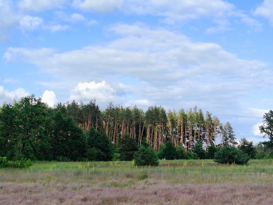 Терміново! Ділянка 9.5 сот поруч з лісом під модульний буд | Дмитрівка