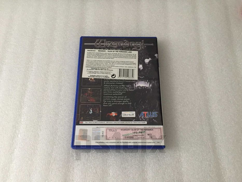 Wizardry Tale of the Forsaken Land playstation ps2