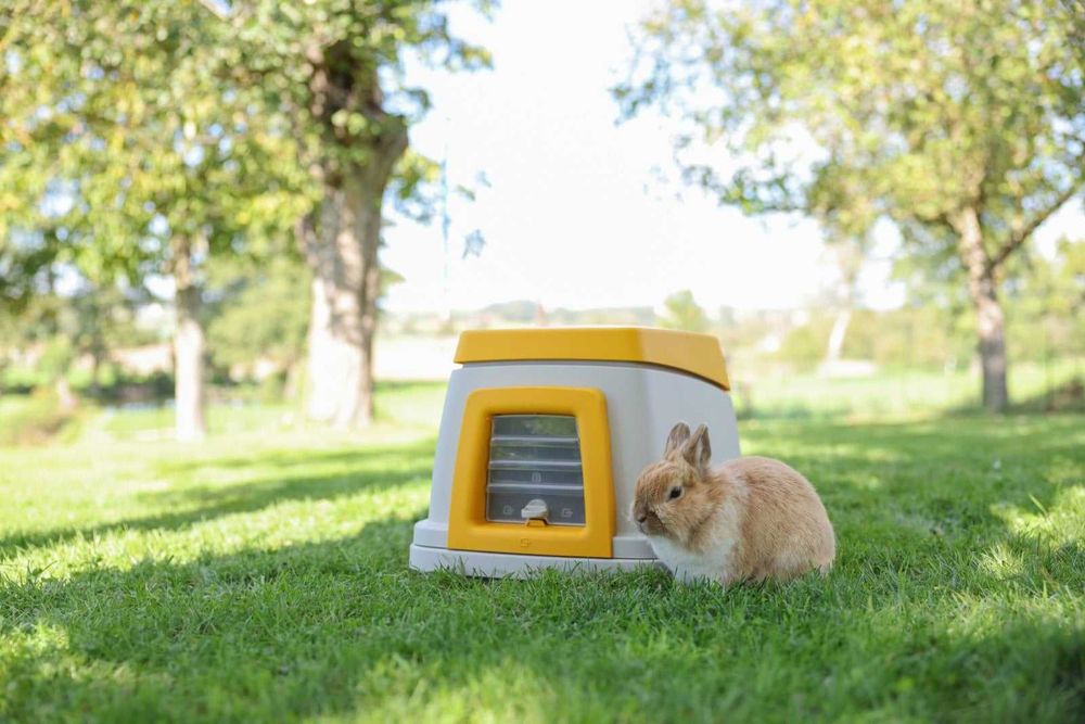 Królicza norka Bunny Base, zestaw kompletny, 58 x 38,5 x 55 cm