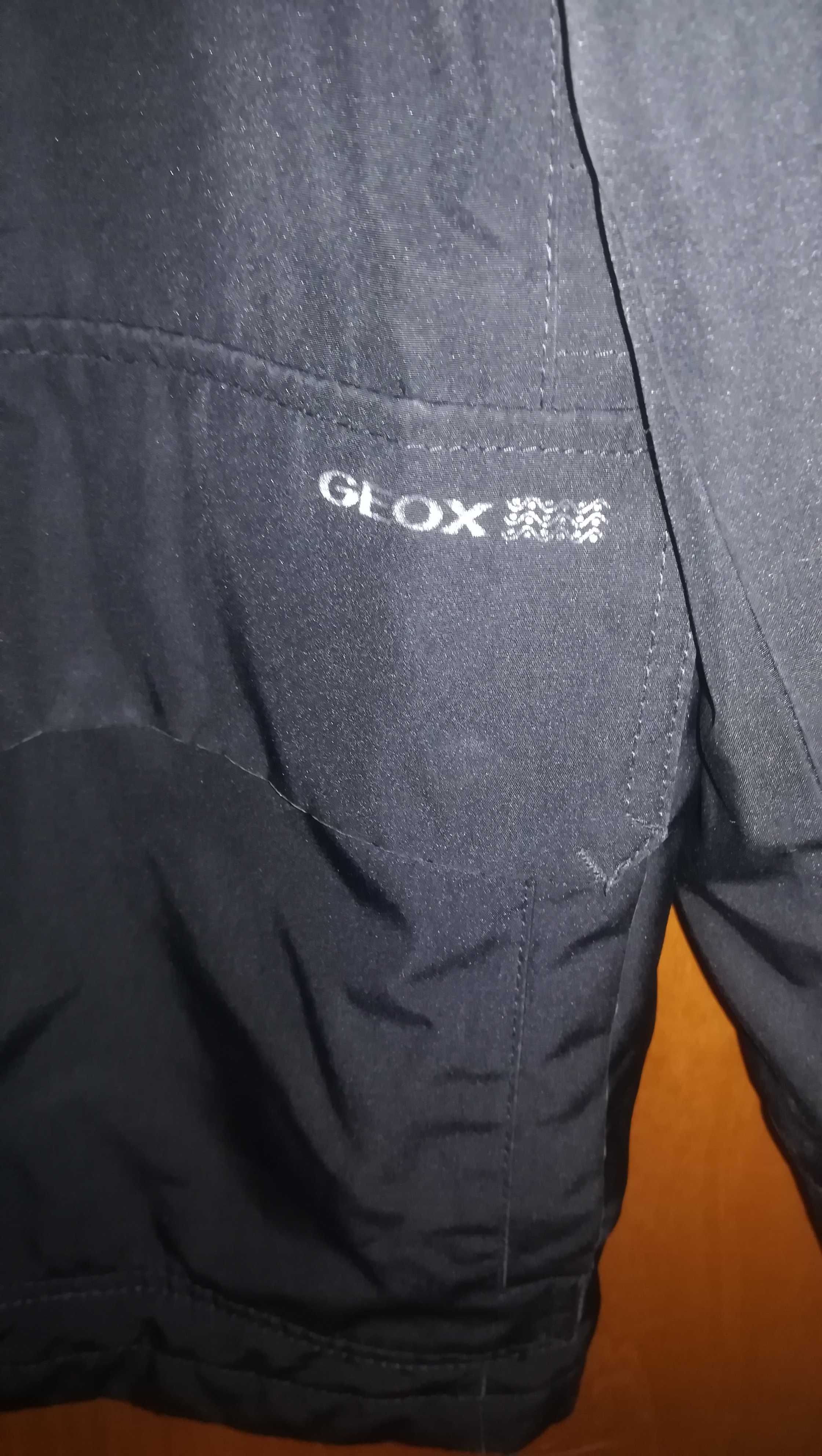 Kurtka męska geox.