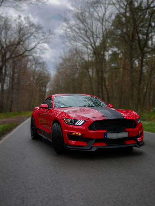 Ford Mustang 5.0 V8 GT DOLOT JLT / Wydech Custom