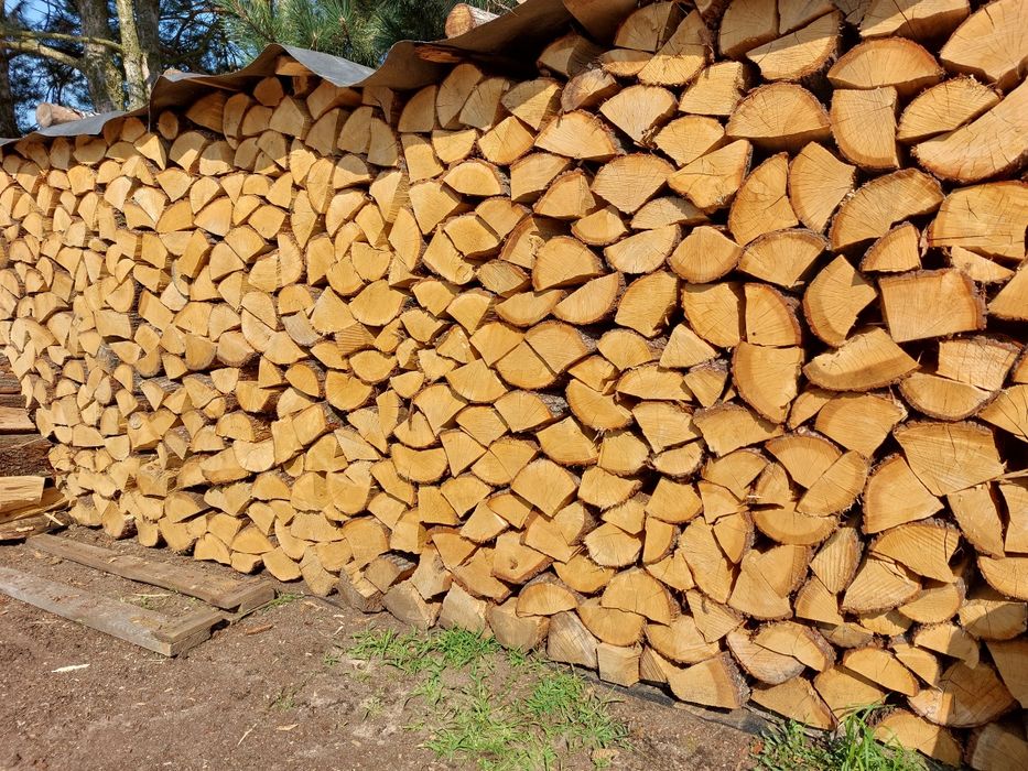 Drewno kominkowe i opałowe