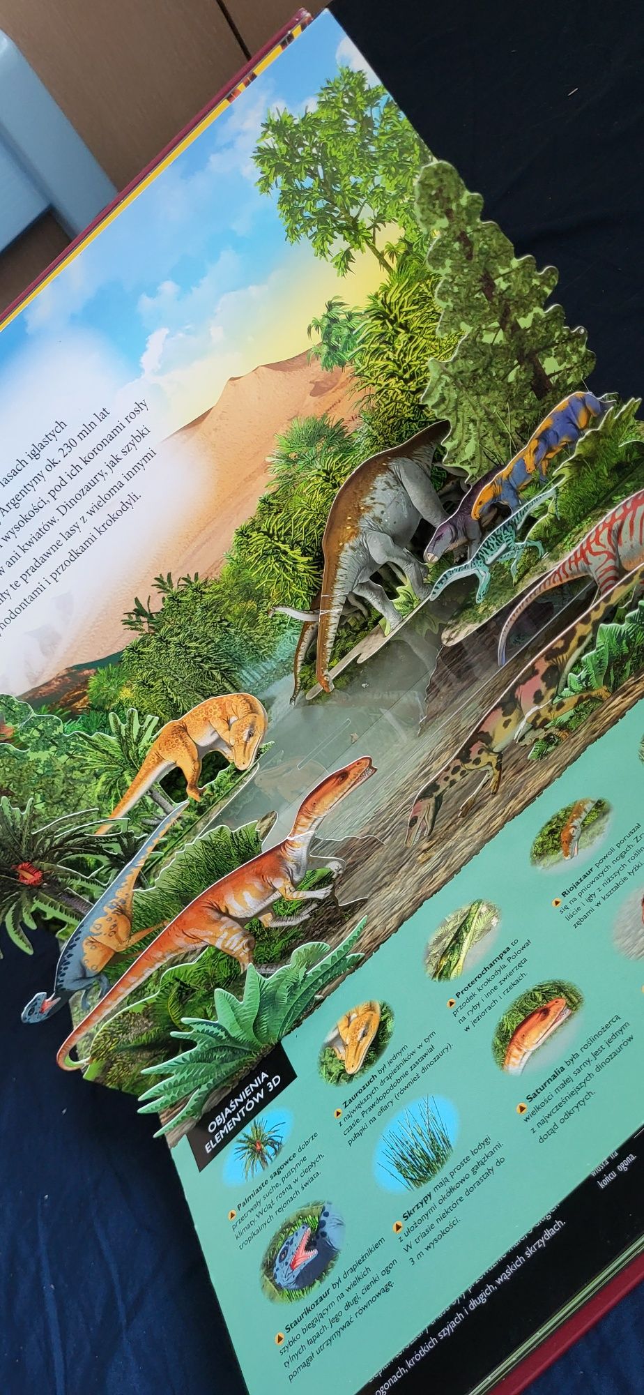 Dinozaury odkrywca 3D książka