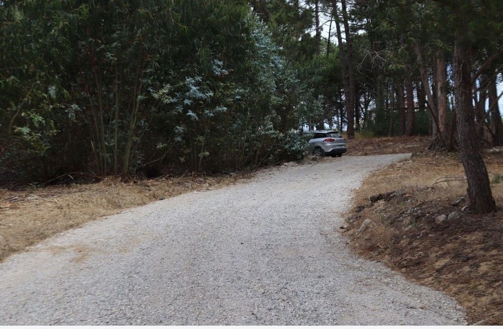 Arrendo terreno em Janas