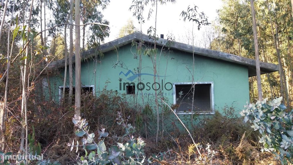 Terreno Rústico com 14.000 m² em Olival