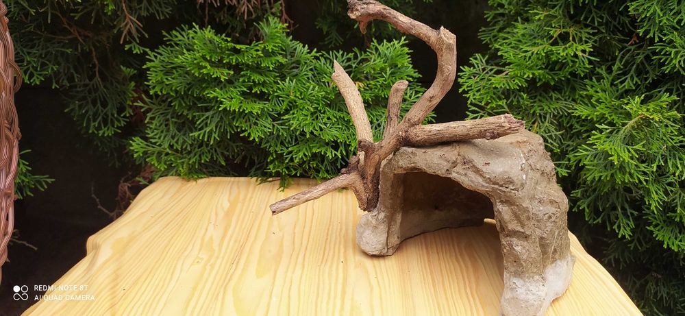 Duża grota do akwarium z korzeniem.