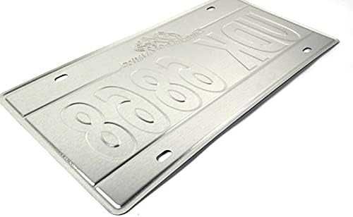 Tablica rejestracyjna USA – 30 x 15 cm, replika metalowa: Teksas C569