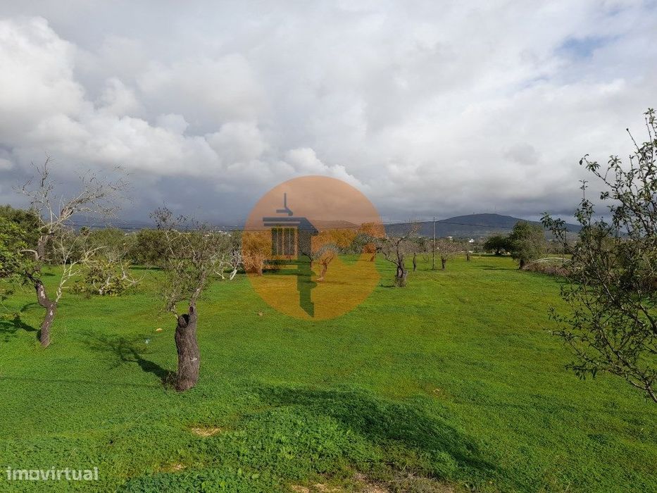 Belíssimo terreno rústico, extenso e plano, com pomar de amendoeiras