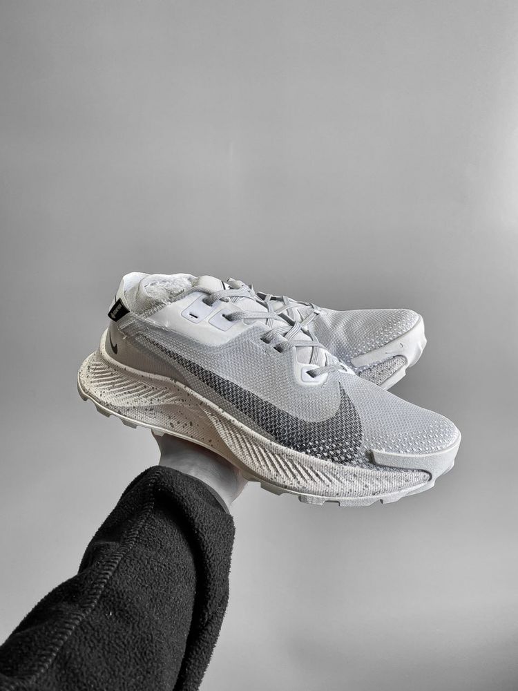 Nike Pegasus Trail 2 Gore-tex Gray,nike,pegasus,треіл 2,найк пегасус.