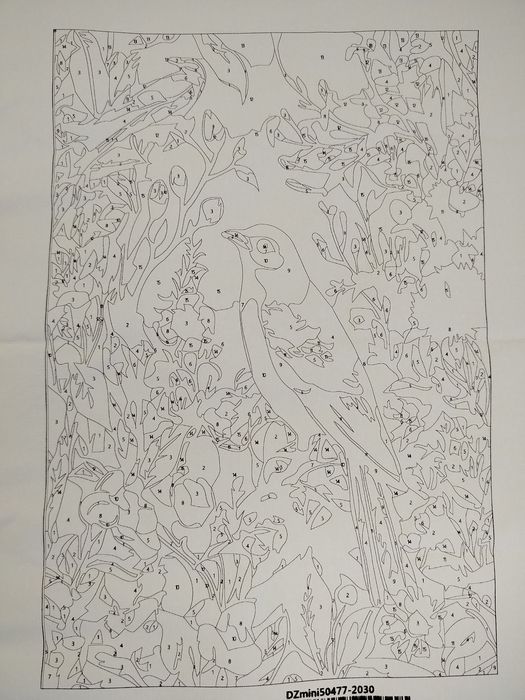 Malowanie po numerach 20x30 ptak