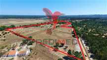 Terreno de 7ha, Grândola, área de construção 229m2