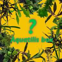 Aquatilis box - nasz 'mystery' box