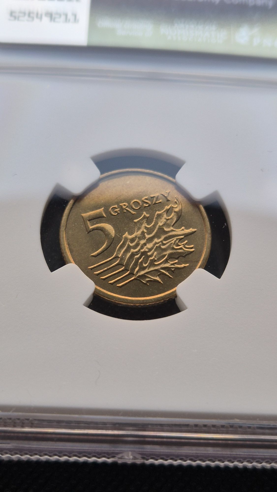 5 groszy 2003 NGC MS67 Top Pop