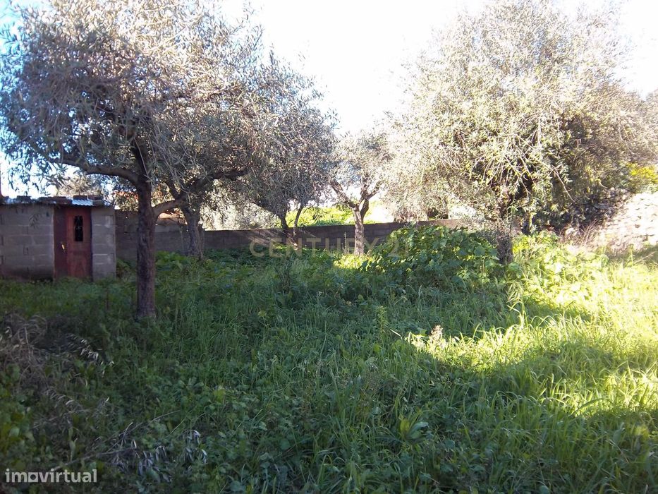 Terreno P/Construção em Alcains