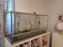 Terrarium dla żółwia lądowego