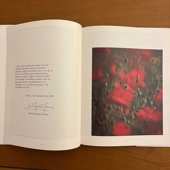 Raúl Constâncio / David Mourão-Ferreira - Do Fulgor das Flores
