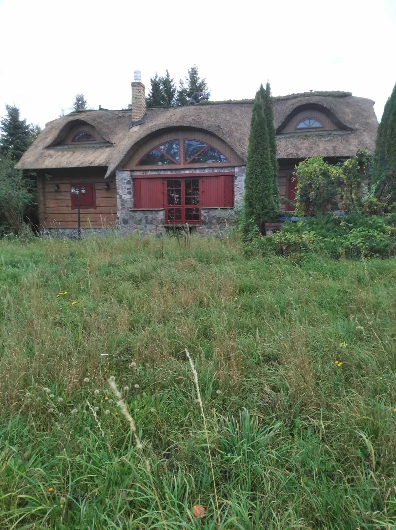 Naprawy i pokrycia dachów z trzciny  trzcina