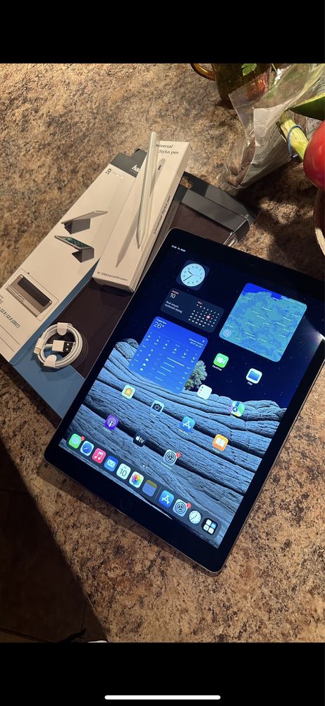 Tablet iPad Apple PRO 12.9” - TOUCH ID - PROCREATE