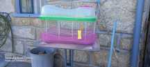 Gaiola de hamster