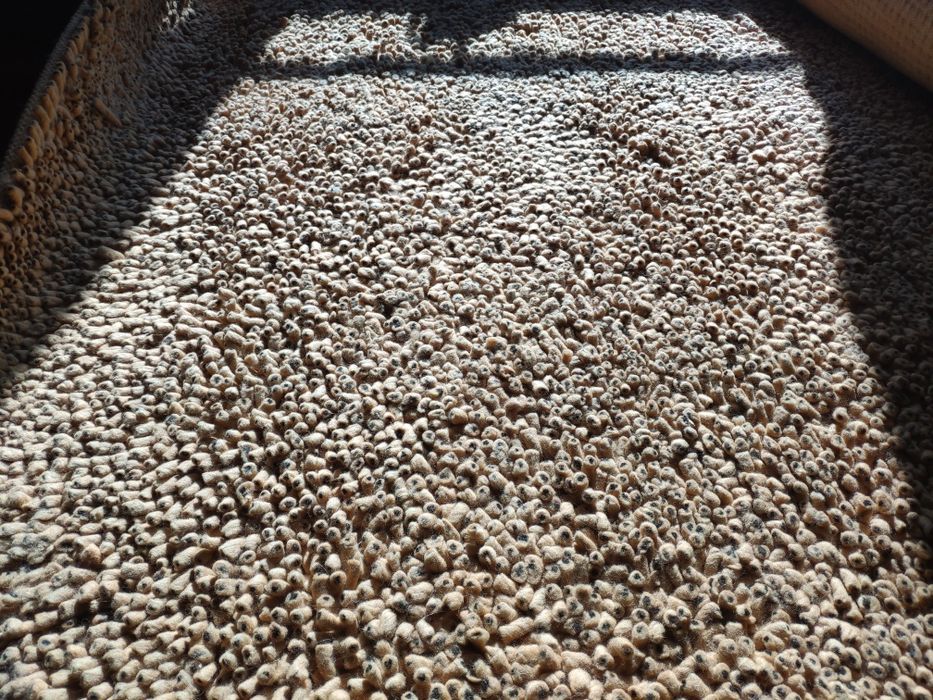 Tapete de Sala de Estar 100% lã