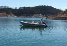 Bat Pacific 590