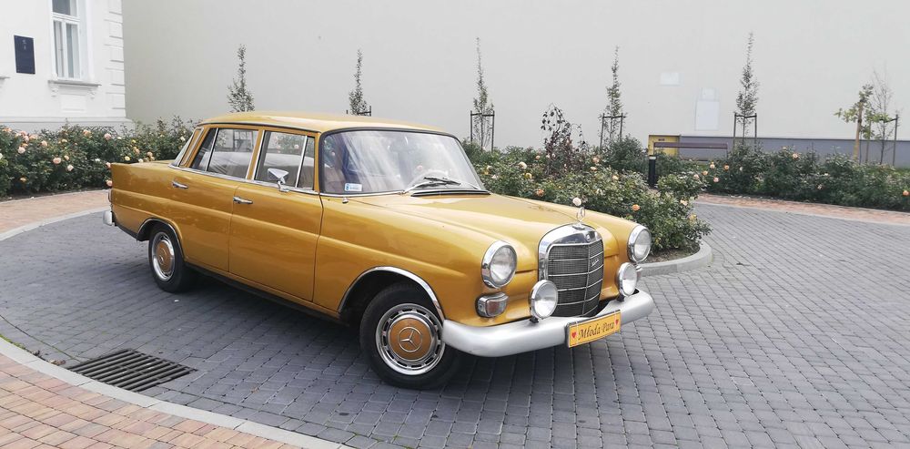 Biała Warszawa do ślubu