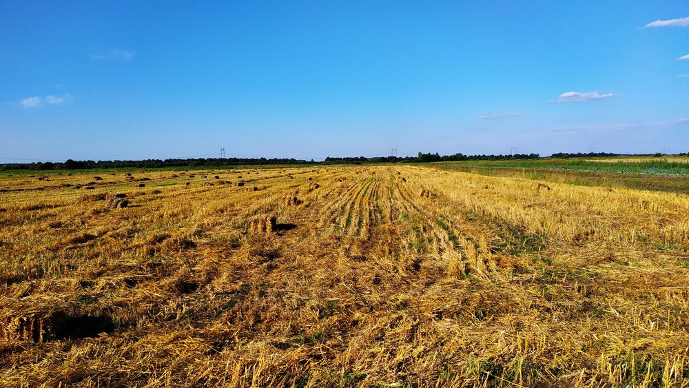 Продам Тюки Солома