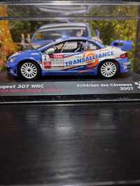 Peugeot 307 WRC .