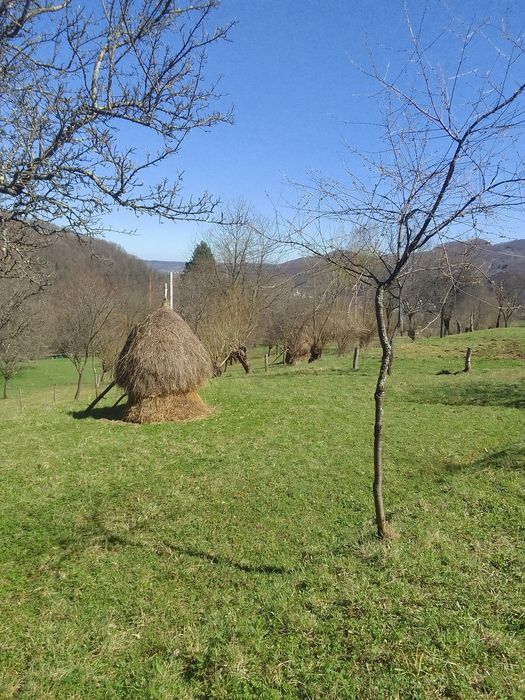 Продається хата з земельною ділянкою