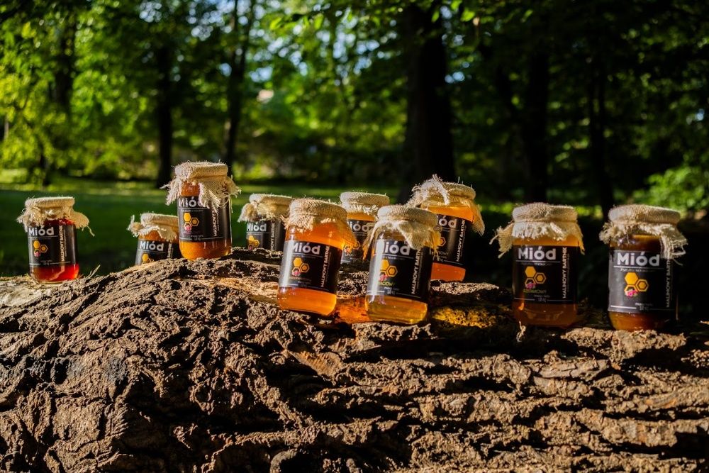 Miód Spadź Iglasta 1 kg - 100% Najlepszy Miód z Własnych Pasiek