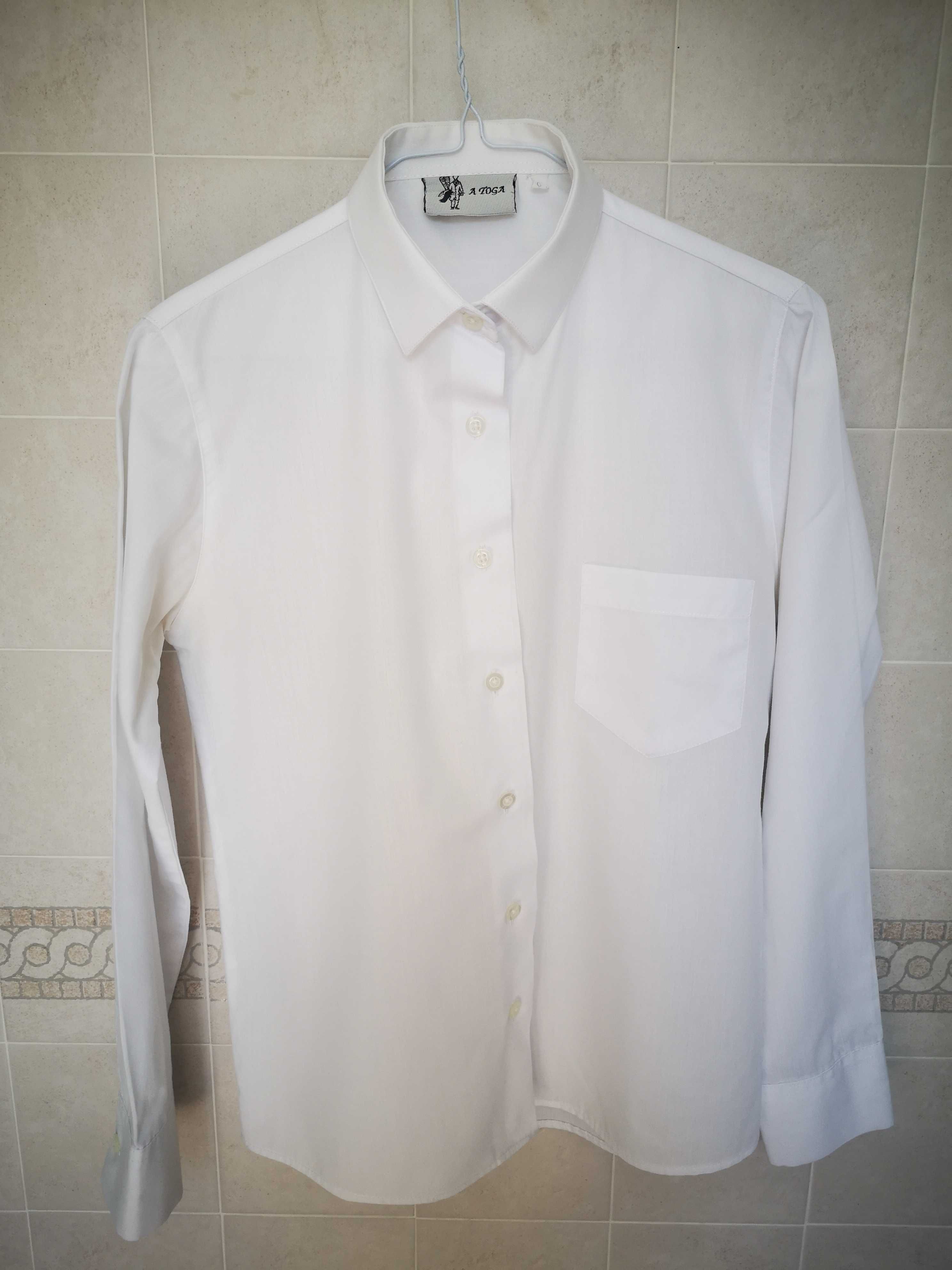 Camisas de Traje Académico Toga