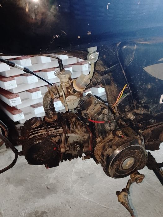 Продам альфу мустанг є торг