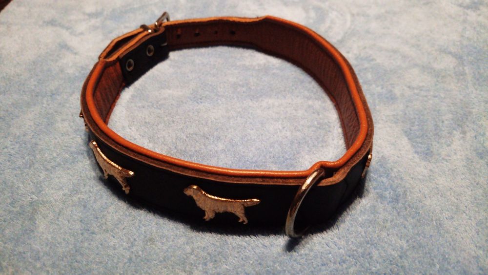 Ошийник виставковий