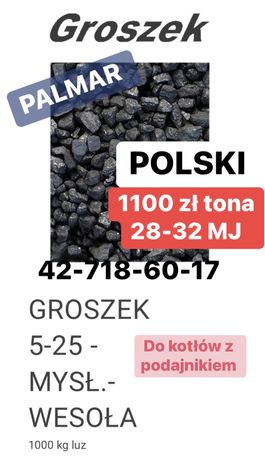 EKO Groszek 28-32MJ polski mysłowice wesoła gold premium plus