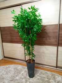 Продаю штучне дерево бамбук 180 см