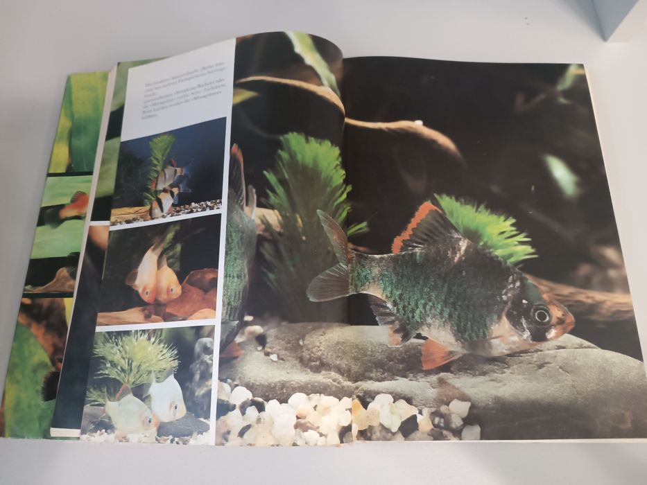 Книга Freude am aquarium (Наслаждайтесь аквариумом) Гельмут Сталкнехт