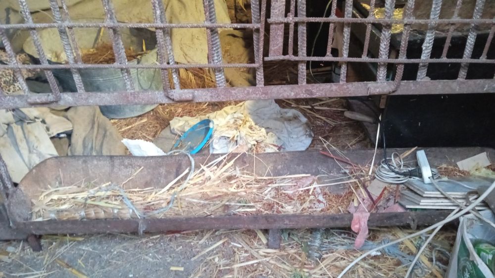 Кормушки для свиней