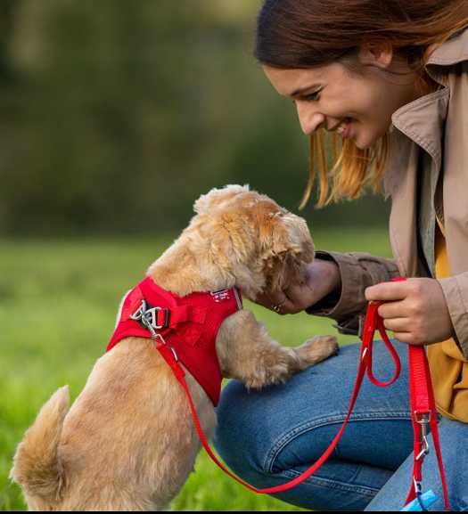 Peitoral / Arnês Curli Vest Air-Mesh vermelho para cães