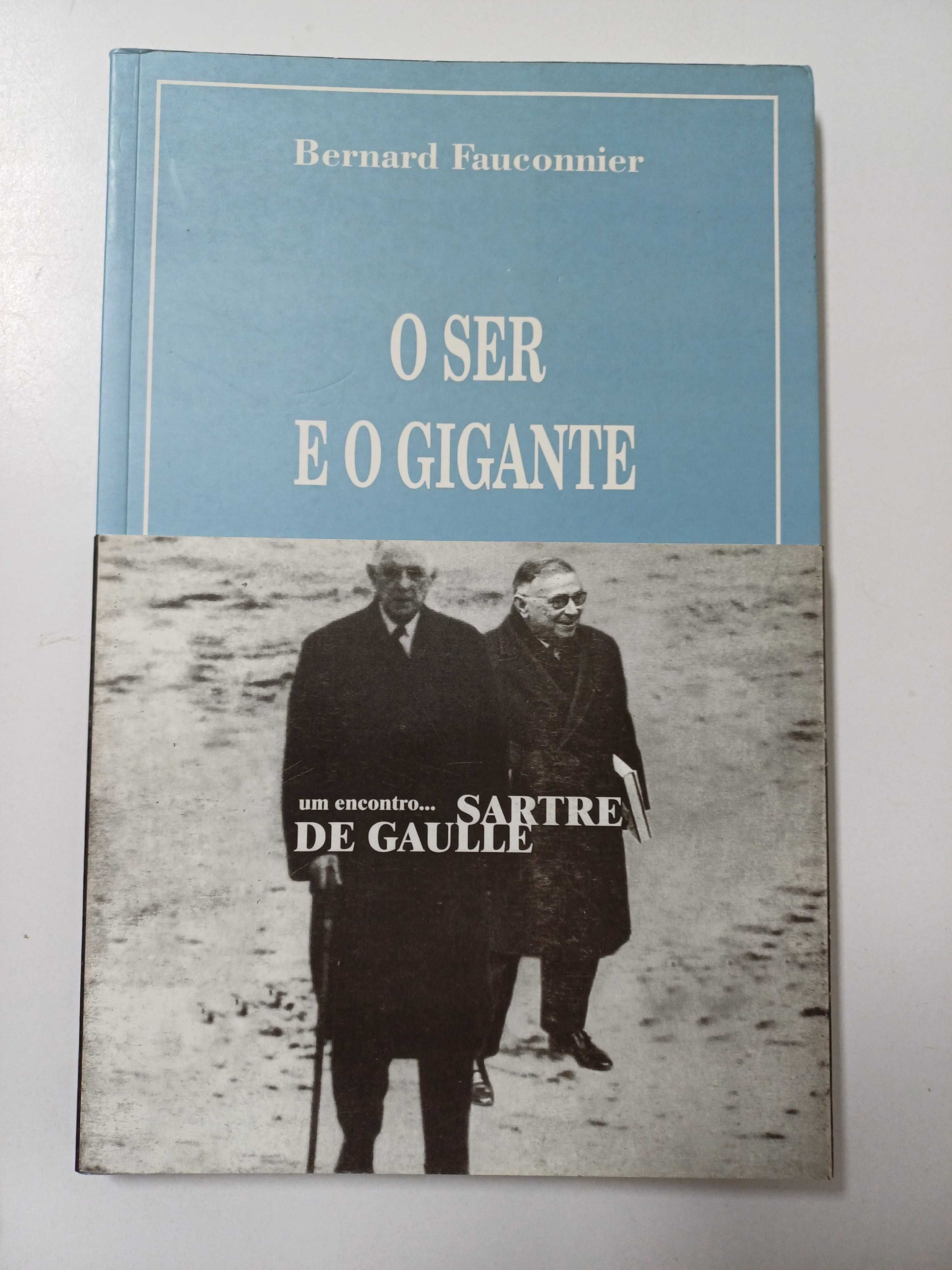 Bernard Fauconnier - O ser e o gigante