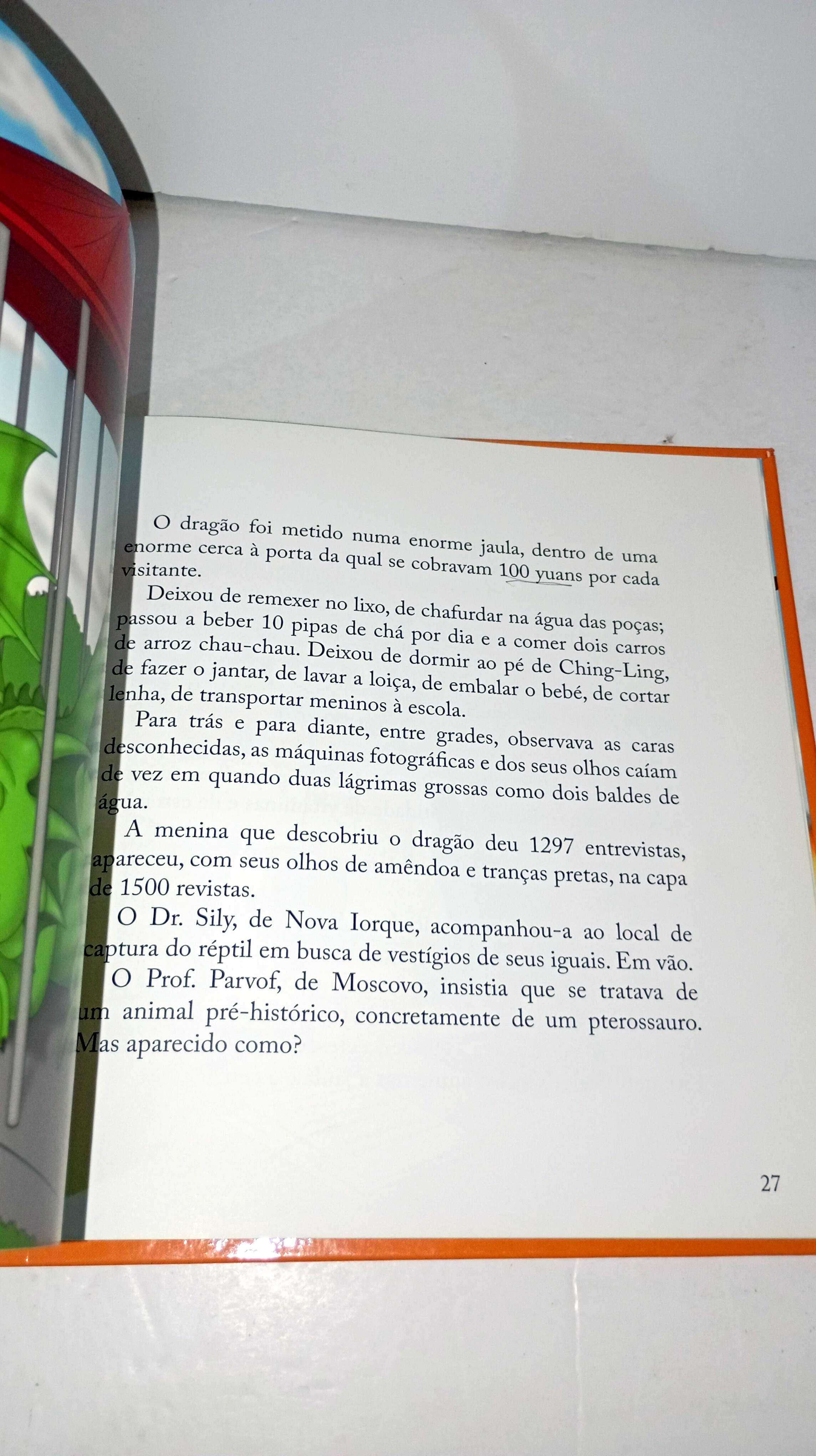O Dragão - Luísa Ducla Soares