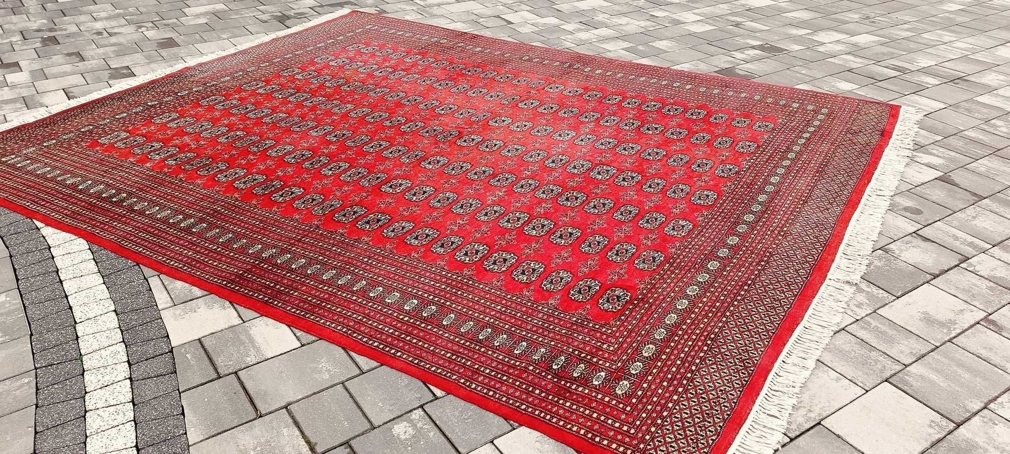 Buchara ręcznie tkany dywan perski pakistan 325 x 252 cm wełna piękny