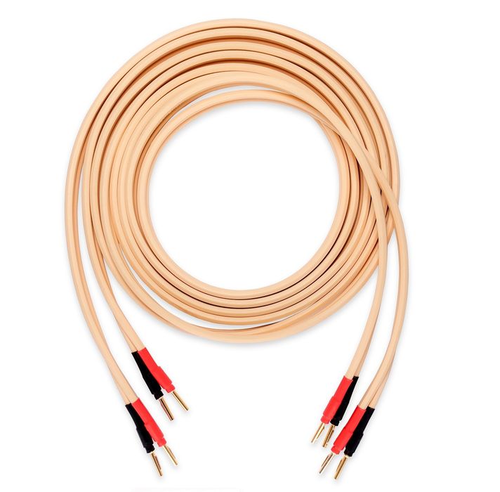 Van den Hul CS 122 Hybrid 2x 2,5m + 8x WTYK HQ1 - Konfekcja