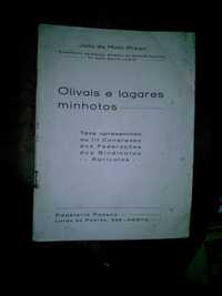 OLIVAIS E LAGARES MINHOTOS  - J. Mota Prego