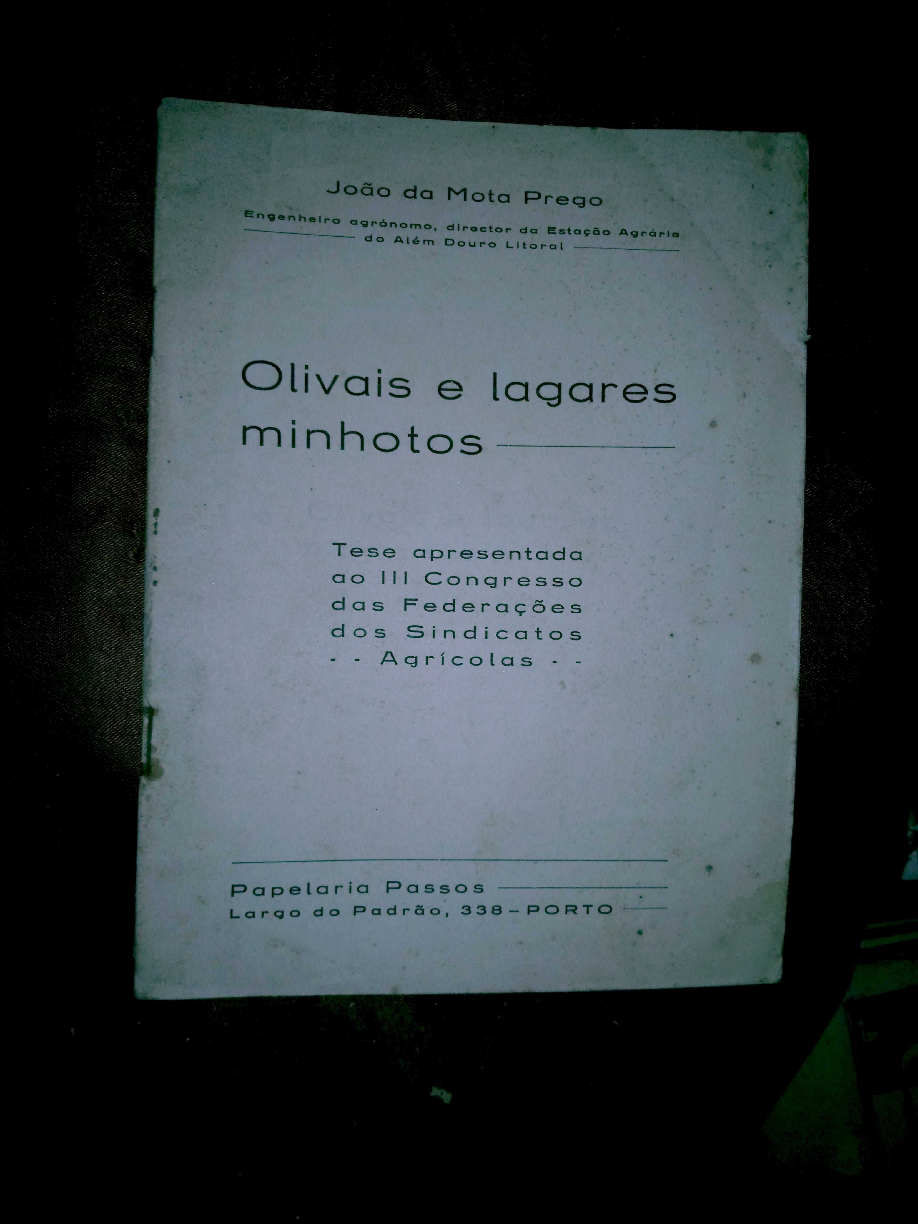 OLIVAIS E LAGARES MINHOTOS  - J. Mota Prego