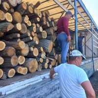 Доставка дров фурами(кругляк і рубані) по Україні