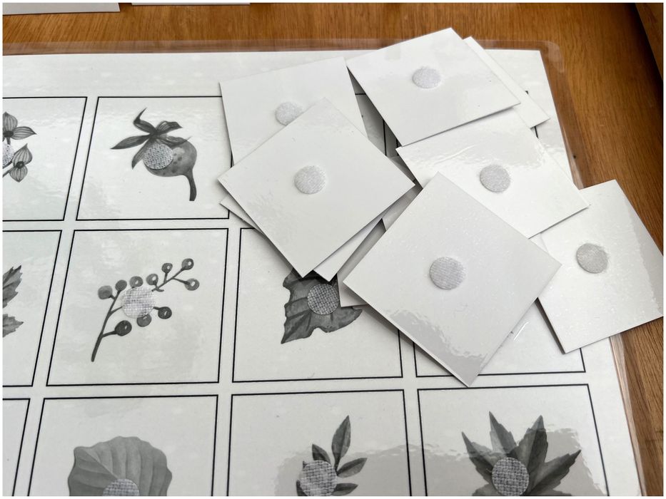 Encontra a minha sombra - Folhas