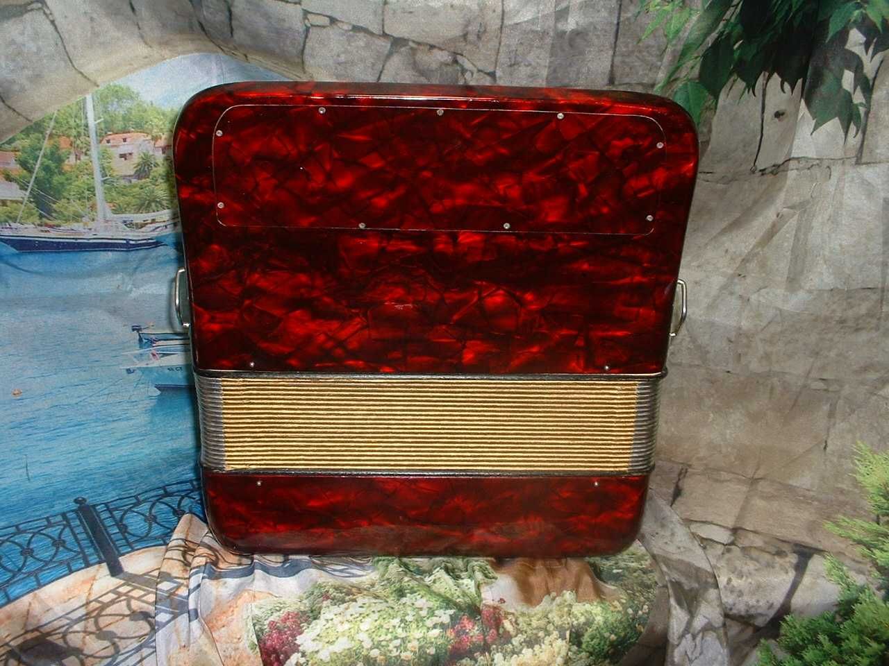 Concertina para venda N, 916