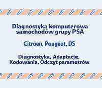 Diagnostyka komputerowa - Peugeot Citroen - Lexia 3, PP2000 - Diagbox